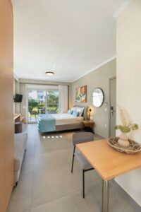 Superior studio living room 4